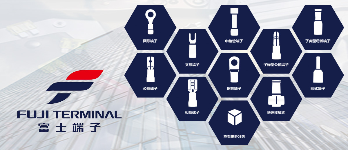 ձʿFuji TerminalپW(wng),ƷֱI(yng),(d)ҽ(jng)N(xio),һ(j),ڙ(qun)(zhun)u(mi)