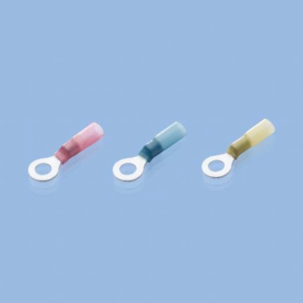 ձʿFUJI Terminal B Ҏ(gu)Aζ տs^Aζӣ(bio)(zhn)